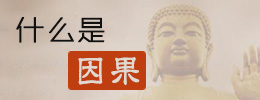 什么是因果？